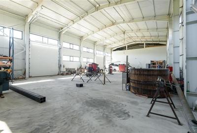 Descopera oportunitatea: hala avangardista pe teren generos, conditii apreciabil - 18