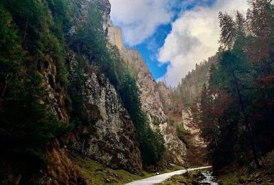 Spațiu comercial, în Dâmbovicioara - 3