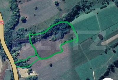 Spațiu comercial, în Vad - 1