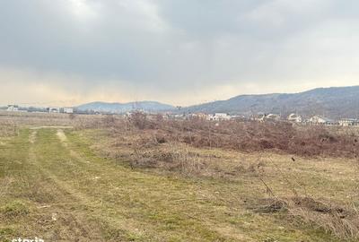 Teren de 3000 mp, în Aninoasa - 13