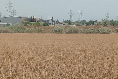 Teren de 8400 mp, în Sud - 1