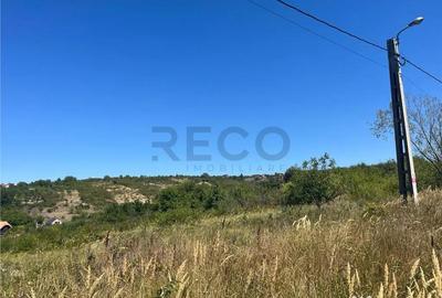 Teren de 4251 mp, în Dealuri Oradea - 10