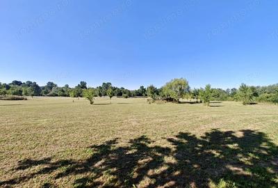 Teren de 12600 mp, în Ghiroda - 6