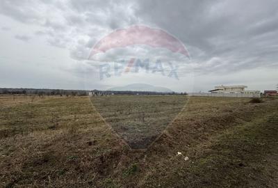 Teren Construcții intravilan de 750 mp, în Fântânele - 2