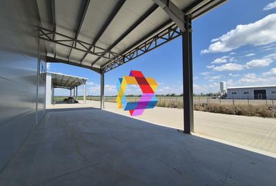 Hala - 700 mp  # plus-imo.ro - 14