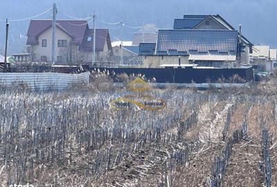 Spațiu comercial, în Hemeiuș - 1