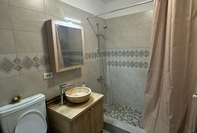 Apartament 2 camere superb-4/5 minute Metrou Berceni - 10