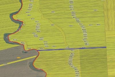 Teren extravilan Caldararu, ID: R2616308 - 5