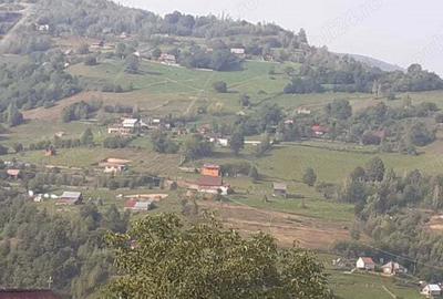 Cabana cu teren la munte - 1