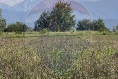 Teren Construcții intravilan de 960 mp, în Șercaia - 4