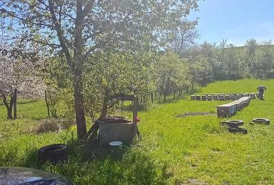 Casă cu 3 camere cu Teren 5400 Mp în Daia (Bahnea) - 9