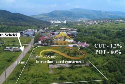 Teren pentru constructie hala indrustriala - Moinesti/Bacau - 1