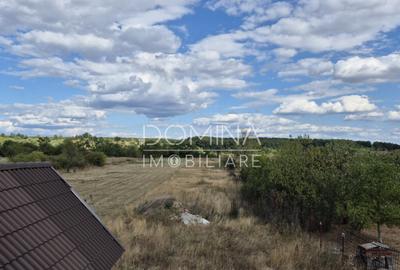 Casa D+P+M ?i teren 4334 mp - Runcu, Sat Rachi?i - 1