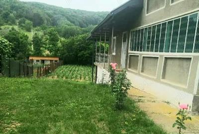 Casă cu 4 camere cu Teren 790 Mp în Plopșoru - 11