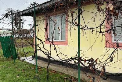 Casă cu 5 camere în Viișoara - 7