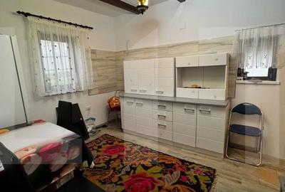 Casă cu 2 camere cu Teren 2930 Mp în Cotu - 4