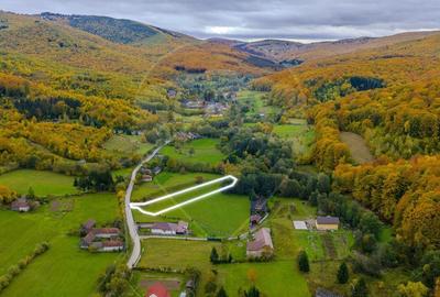 COMISION 0% Teren 3,109mp Dobarlau/ Partial intravilan - 6