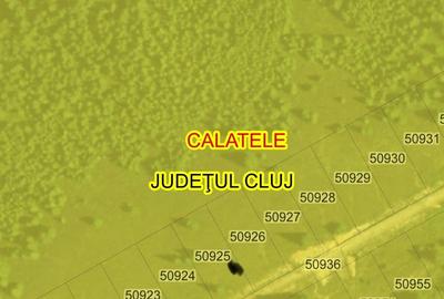 Teren de 1000 mp, în Beliș - 9