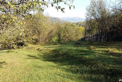 Teren de 2280 mp, în Cerașu - 2