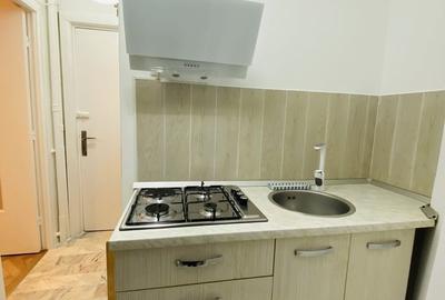 Apartament cu 2 camere semidecomandat în Calea Victoriei - 3