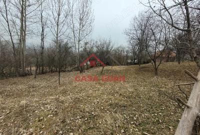 Casă cu Teren 1358 Mp în Gura Beliei - 11