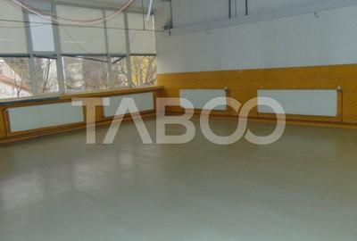 Hala generoasa amenajata pretabila productie Sibiu - 2