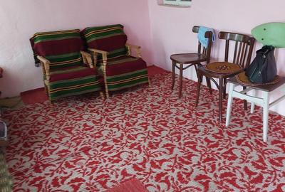 Casa de vanzare Ceamurlia de SUS,Jud.TULCEA - 6