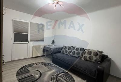 Garsoniera decomandata de inchiriat- Valea Rosie - 2