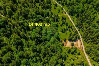 Teren de 14400 mp, în Cheile Râșnoavei - 2