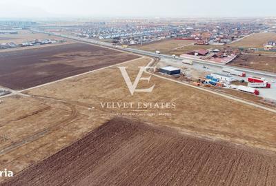 Spațiu comercial, în Sânpetru - 7