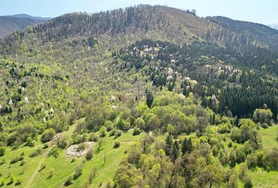 Teren Construcții intravilan de 5500 mp, în Cristian - 16