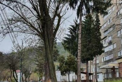 Garsonieră decomandată în Nord - 4