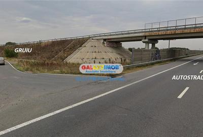 Teren Construcții intravilan de 5000 mp, în Gruiu - 2