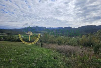 Teren de vanzare ,Tocile, Sibiu, case de vacanta si locuinte - 11