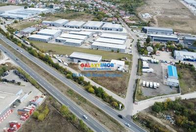 Hale Industriale Centura Rudeni Chitila Centura 415 mp/978 mp - 19