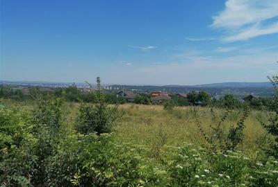 Teren Construcții extravilan de 1000 mp, în Horpaz - 3