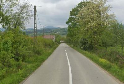 Teren de vanzare in Meziad. - 3