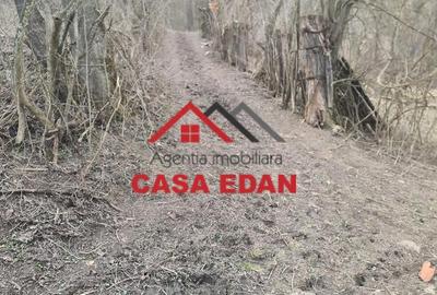 Teren de 3448 mp, în Provița de Jos