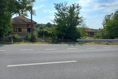 (101) Teren cu casa, pentru afaceri / Direct proprietar - 8