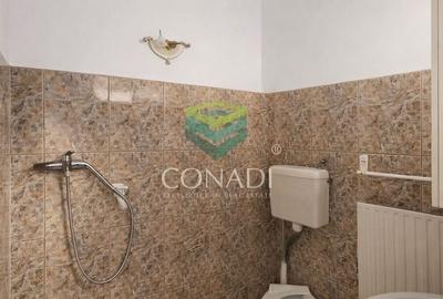 Casă individuală cu 3 camere cu Canalizare în Vitan - 26