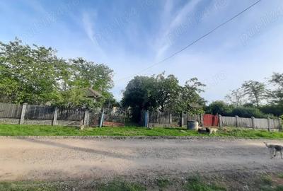 Casa batraneasca de vanzare - 3