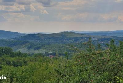 Spațiu comercial, în Ogretin