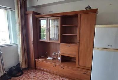 Podu Ros kaufland - garsoniera mobi si ptr. cei cu animalede compani - 2