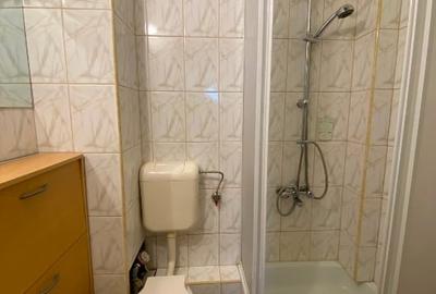 Apartament 3 camere pe str Bucuresti, Marasti etaj 1 curte interioara - 5