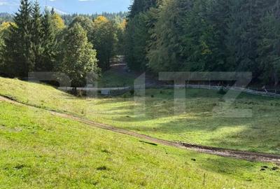 Teren de 2792 mp, în Colibița - 5