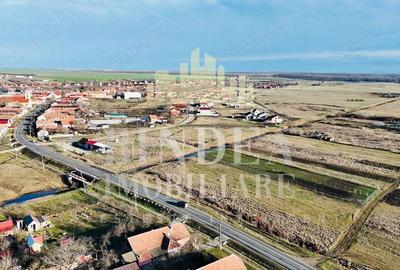 Teren de 1500 mp, în Pișchia