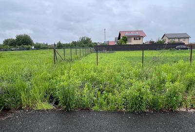 Terenuri de casă într-o zonă liniștită – Str. Merilor- Stupini, 515 și 521 mp - 3