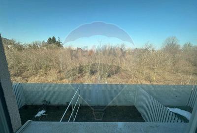 Duplex de inchiriat Voluntari - 10