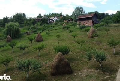 Teren de 6200 mp, în Cicănești - 1