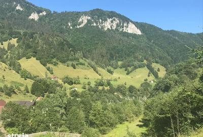 Teren de 2694 mp, în Rucăr - 2